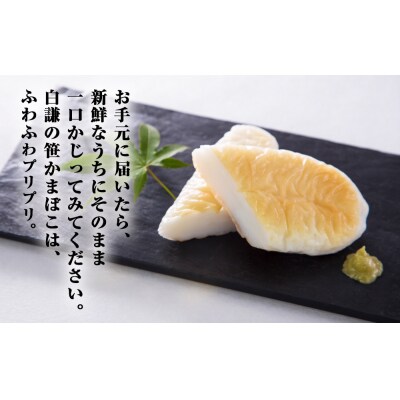 白謙 笹かまぼこ 5種詰合せ 笹かま しらけん 白謙かまぼこ 蒲鉾 かまぼこ 練り物 贈答用 お中元
