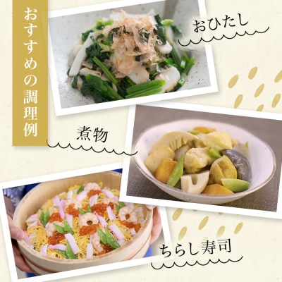 白謙 笹かまぼこ 5種詰合せ 笹かま しらけん 白謙かまぼこ 蒲鉾 かまぼこ 練り物 贈答用 お中元