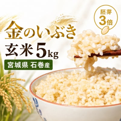 米 玄米 5kg 金のいぶき 令和7年産 宮城県石巻産 ヨシ腐葉土米 小分け 家庭用 健康食 食物繊