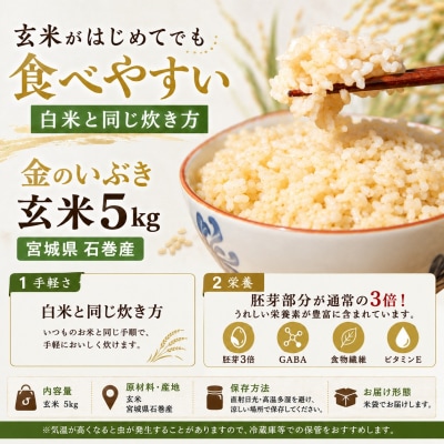 米 玄米 5kg 金のいぶき 令和7年産 宮城県石巻産 ヨシ腐葉土米 小分け 家庭用 健康食 食物繊