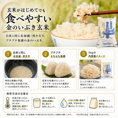 米 玄米 5kg 金のいぶき 令和7年産 宮城県石巻産 ヨシ腐葉土米 小分け 家庭用 健康食 食物繊