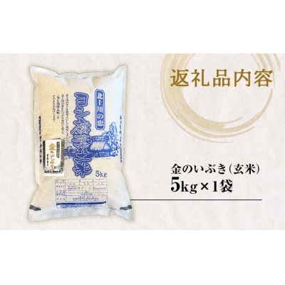 米 玄米 5kg 金のいぶき 令和7年産 宮城県石巻産 ヨシ腐葉土米 小分け 家庭用 健康食 食物繊