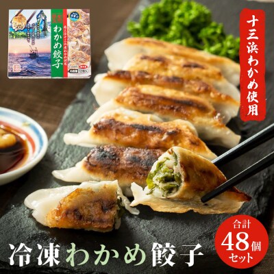 わかめ餃子　48個セット