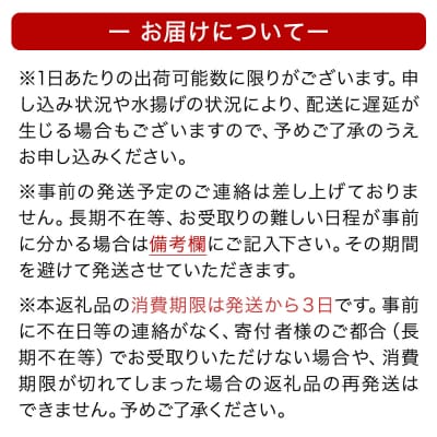 生うに 宮城県産 殻付き お造り 生ウニ 6個 冷蔵 ミョウバン不使用 無添加