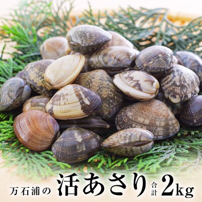 石巻・万石浦の活あさり(2kg) アサリ あさり 天然 貝 プリプリ おかず 味噌汁 砂抜き