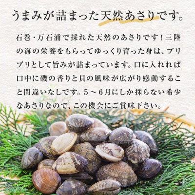 石巻・万石浦の活あさり(2kg) アサリ あさり 天然 貝 プリプリ おかず 味噌汁 砂抜き