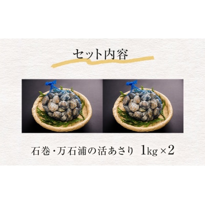 石巻・万石浦の活あさり(2kg) アサリ あさり 天然 貝 プリプリ おかず 味噌汁 砂抜き