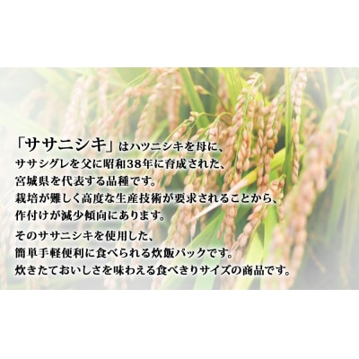 ご飯パック 宮城県産 ササニシキ 180g×48個 パックライス パックごはん パック 宮城県 米