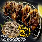 いか 〈 訳あり 〉宮城県産 スルメイカ ゲソ 2kg 冷凍 国産 スルメイカ いか 下足 イカ