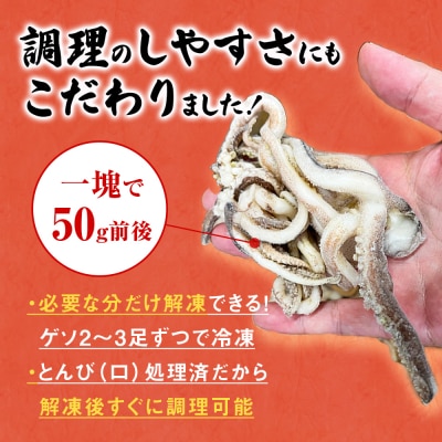 いか 〈 訳あり 〉宮城県産 スルメイカ ゲソ 2kg 冷凍 国産 スルメイカ いか 下足 石巻市