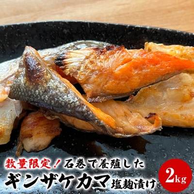 ふるさと納税 石巻市 料亭とり文 お食事券(9,000円分)