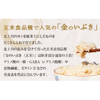 <先行受付> 令和8年産 金のいぶき 玄米 5kg　新米 ヨシ腐葉土米 米 お米 こめ コメ ご飯