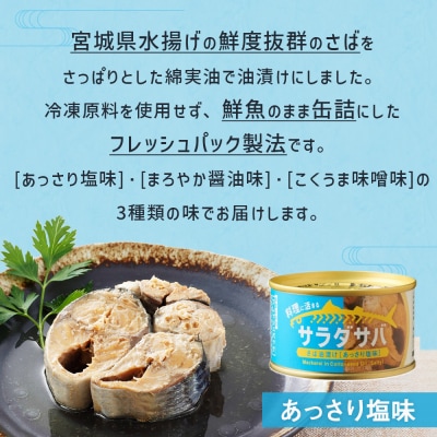 サラダサバ 食べ比べ セット 12缶 さば 鯖 サバ缶 缶詰 醤油 塩 味噌 備蓄 木の屋 常温保存