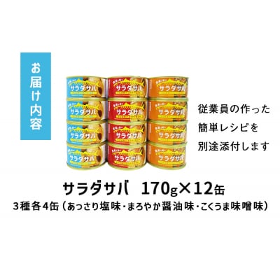 サラダサバ 食べ比べ セット 12缶 さば 鯖 サバ缶 缶詰 醤油 塩 味噌 備蓄 木の屋 常温保存