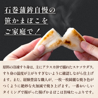 石巻蒲鉾 全種15個 笹かまとあげかまセット 