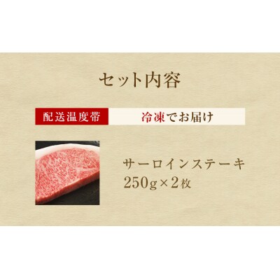 仙台牛サーロインステーキ 2枚×250g