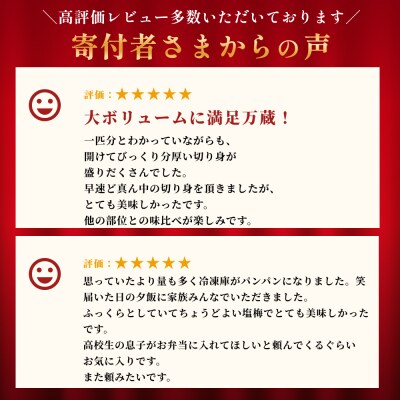 【訳あり】鮭 切り身 国産 銀鮭 1.8kg さけ 冷凍 不揃い 家庭用 サーモン 塩鮭 魚 厚切り