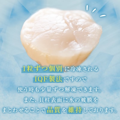 【 先行受付】【訳あり】ほたて貝柱500g (加熱用) 帆立 貝柱 海鮮 おつまみ 魚介 ホタテ