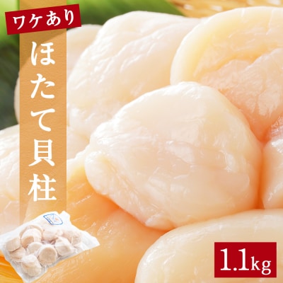 【先行受付】【訳あり】ほたて貝柱1.1kg (加熱用) 帆立 貝柱 海鮮 おつまみ 魚介 ホタテ