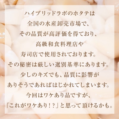 【先行受付】【訳あり】ほたて貝柱1.1kg (加熱用) 帆立 貝柱 海鮮 おつまみ 魚介 ホタテ