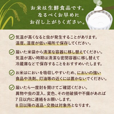 令和7年産 だて正夢 定期便 10kg×2回 20kg  宮城県産 石巻市 米 白米