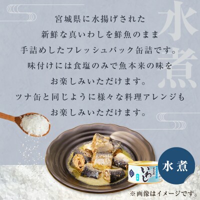 いわし缶詰 2種16缶セット 水煮 醤油味付 缶詰 鰯 イワシ いわし 青魚 常温保存 長期保存