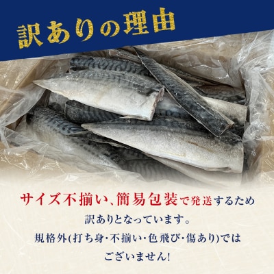 さば < 訳あり > 無添加 無塩サバフィレ 3.5kg 冷凍 魚 青魚 不揃い 規格外