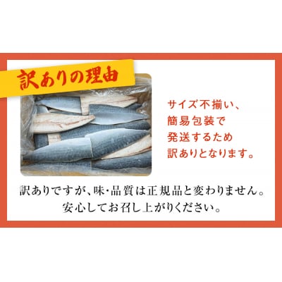 さば 〈 訳あり 〉宮城県産 寒さば フィーレ 無塩 1.5kg 冷凍 魚 青魚 鯖 切身 不揃い
