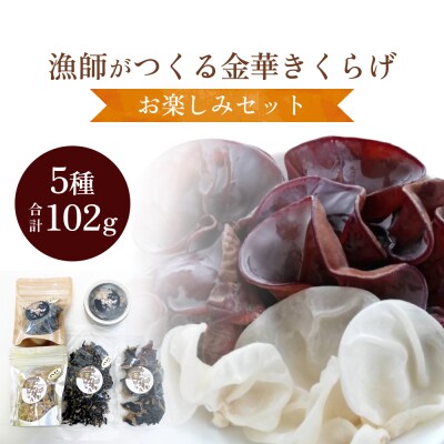 漁師がつくる金華きくらげ(乾燥)お楽しみセット