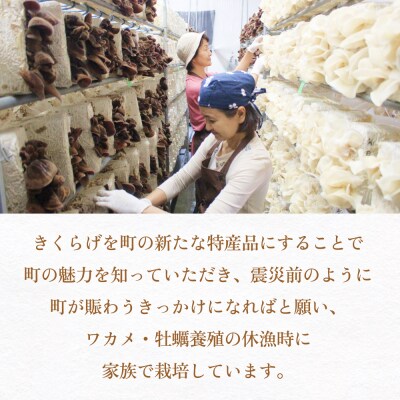 漁師がつくる金華きくらげ(乾燥)お楽しみセット(小)