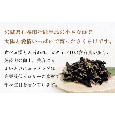 漁師がつくる金華きくらげ(乾燥)セット