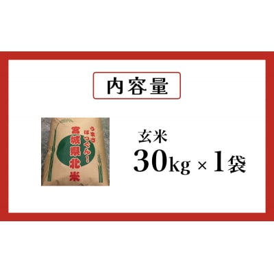 米 つや姫 令和7年産 玄米 30kg 宮城県産 石巻市 こめ コメ お米 ツヤ姫 ご飯