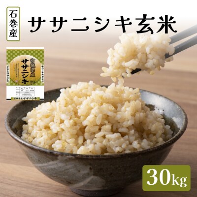 ササニシキ玄米 10kg 令和6年秋田県産 （令和6年新米】環境保全