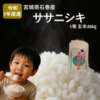 米 令和7年度産 ササニシキ 玄米 30kg お米 ごはん ご飯 一等玄米 単一銘柄米 家庭用