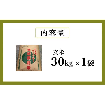米 令和7年度産 ササニシキ 玄米 30kg お米 ごはん ご飯 単一銘柄米 家庭用