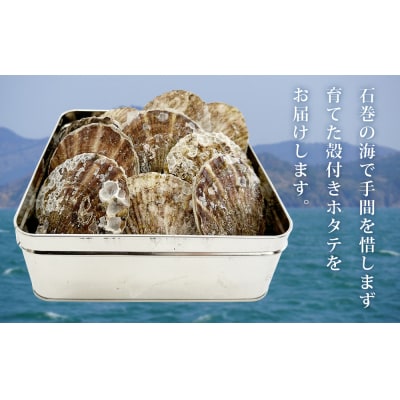 宮城県三陸の旨味全貝!　ホタテカンカン焼き