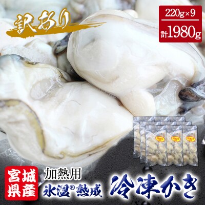 牡蠣 訳あり 氷温熟成 冷凍 (加熱用) 220g × 9パック かき カキ 魚貝類 まるたか水産