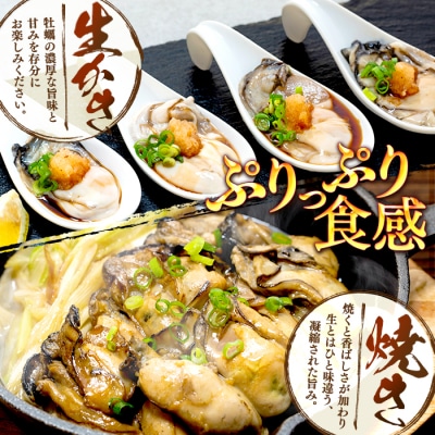 牡蠣 訳あり 氷温熟成 冷凍 (加熱用) 220g × 9パック むき身 まるたか水産 石巻応援