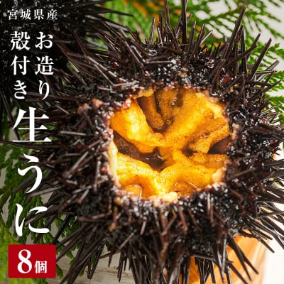 生うに 宮城県産 殻付き お造り 生ウニ 8個 冷蔵 ミョウバン不使用 無添加 雲丹