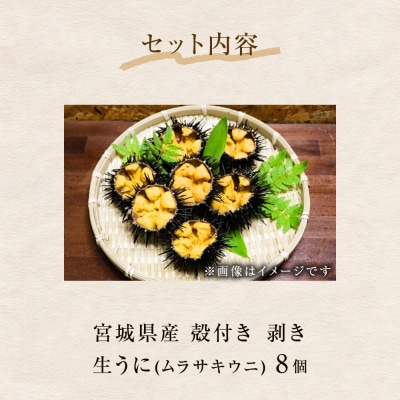生うに 宮城県産 殻付き お造り 生ウニ 8個 冷蔵 ミョウバン不使用 無添加 雲丹