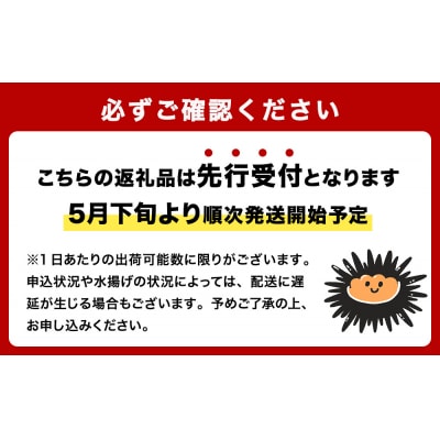 <先行予約> 生うに 宮城県産 塩水うに 160g (80g×2) 冷蔵 ウニ ミョウバン不使用