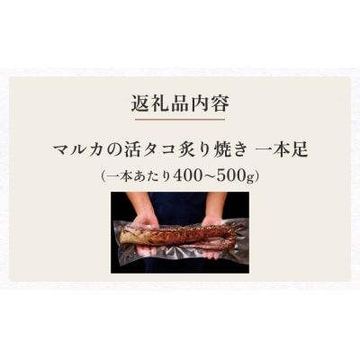 活タコ 炙り焼き 一本足 冷凍 タコ たこ 直火焼き たこ刺し 刺身 たこ足 国産