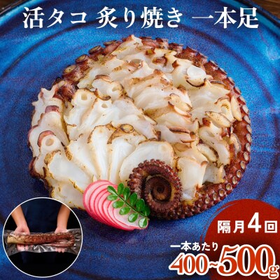 活タコ 炙り焼き 一本足 定期便 隔月 4回 タコ たこ 直火焼き おかず おつまみ 蛸 刺身