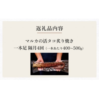 活タコ 炙り焼き 一本足 定期便 隔月 4回 タコ たこ 直火焼き おかず おつまみ 蛸 刺身