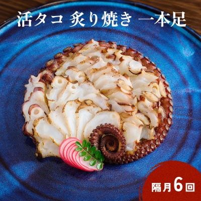 活タコ 炙り焼き 一本足 定期便 隔月 6回 タコ たこ 直火焼き おかず おつまみ 贈答用