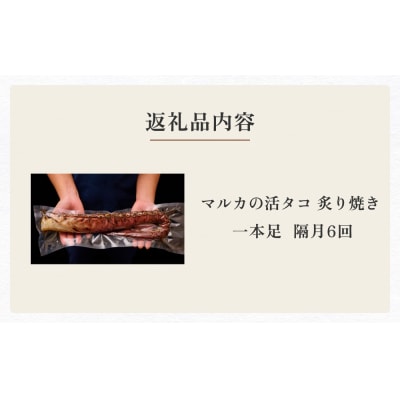 活タコ 炙り焼き 一本足 定期便 隔月 6回 タコ たこ 直火焼き おかず おつまみ 贈答用