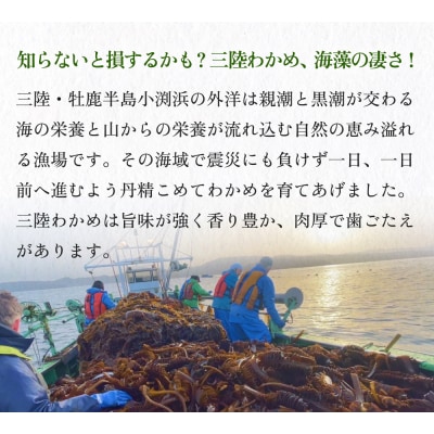 世界三大漁場の恩恵をうけて育った塩蔵わかめ わかめ 三陸わかめ 肉厚 歯応え 茎わかめ