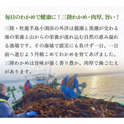 世界三大漁場の恩恵をうけて育った塩蔵わかめ わかめ 三陸わかめ 肉厚 歯応え 茎わかめ (中)