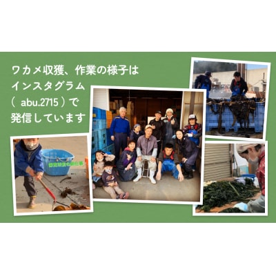 世界三大漁場の恩恵をうけて育った塩蔵わかめ わかめ 三陸わかめ 肉厚 歯応え 茎わかめ (中)