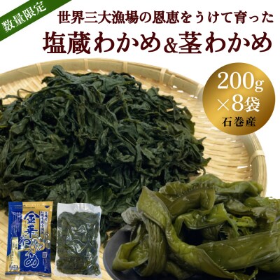 世界三大漁場の恩恵をうけて育った塩蔵わかめ わかめ 三陸わかめ 肉厚 歯応え 茎わかめ (大)